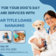 Car Title Loans Nanaimo